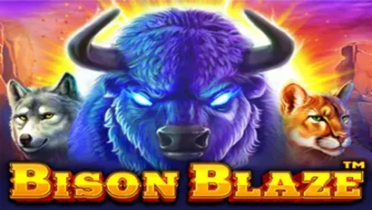 Thumbnail Game Bison Blaze